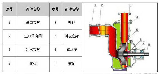 熱水循環(huán)泵結構圖片