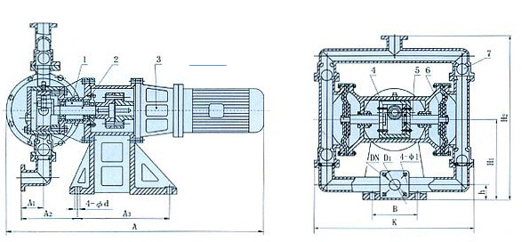 電動隔膜泵的結(jié)構(gòu)圖片