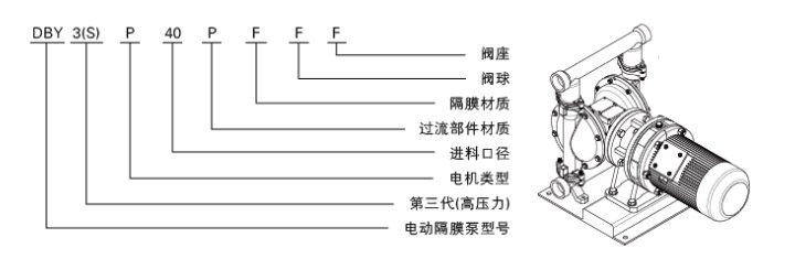 電動隔膜泵型號意義圖片