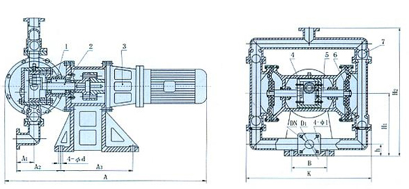 電動(dòng)隔膜泵結(jié)構(gòu)圖片