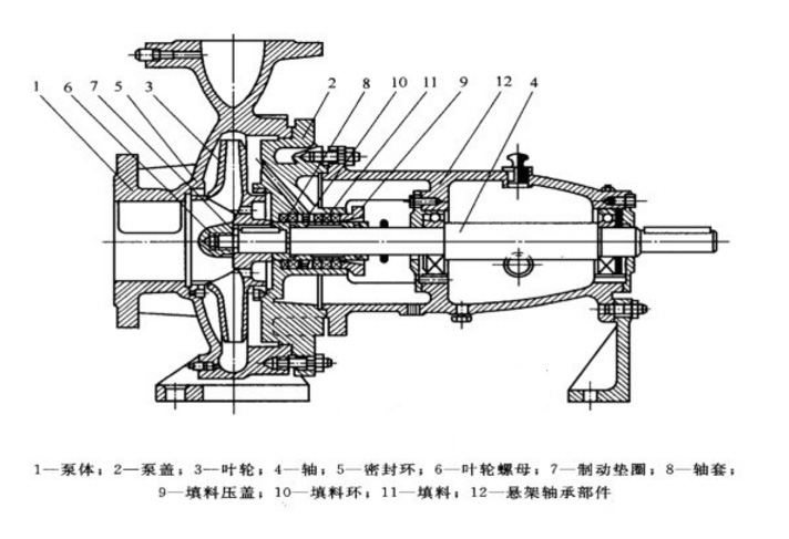 單吸清水離心泵結構圖片